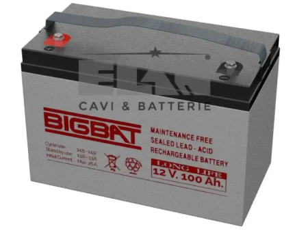 Batteria Elan Bigbat Al Piombo 12v 100ah Long Life 01290 For Discount