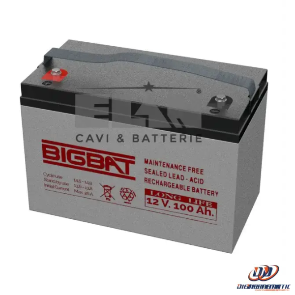 Batteria Elan Bigbat Al Piombo 12v 100ah Long Life 01290 For Discount