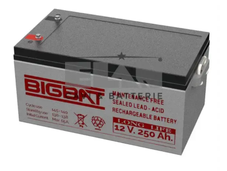 Batteria Elan Bigbat Al Piombo 12v 250ah Long Life 01295 For Sale